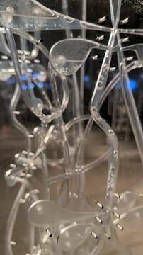 liquid flowing and pumping through transparent pipes