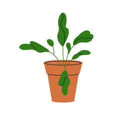 Green plant growing in pot. Interior houseplant. Leaf in room flowerpot. Foliage decor, leaves, indoor home greenery. Botanical decoration. Flat vector illustration isolated on white background.