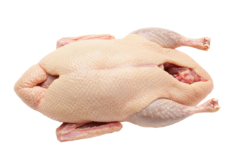 Isolated Whole Duck ready to cook for a holiday meal preparation, close-up studio shot