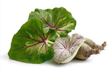 Taro on a white background