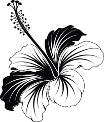 Graceful Tropical Hibiscus Flower Line Art Illustration with Detailed Petals and Leaves