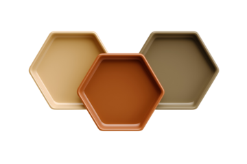Stylish hexagon tray set in earthy tones, perfect for modern home decor and product presentation