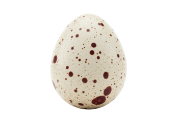 Isolated speckled bird egg, a small egg with spots, delicate shell, simple shape and pattern