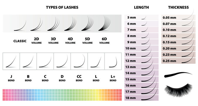 Types of eyelashes