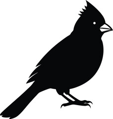 Black crow silhouette vector illustration on a white background or perched on a tree branch