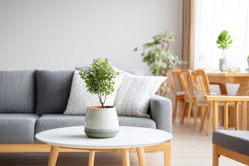 Interior scene with a plant on a table, sofa, dining table, and natural light