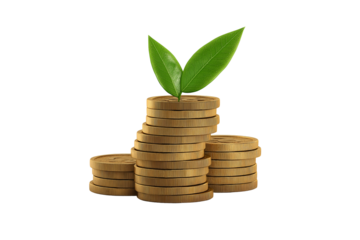 Watch your investment grow with these gold coins and green plant leaves finance concept