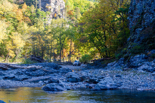 autumn in the forest - Powered by Adobe