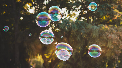 soap bubbles in the air