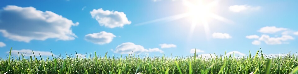 Obraz premium Blue sky and green grass background with sun shining for summer spring nature landscape photography