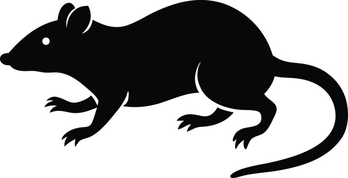 A vector illustration of a black kangaroo silhouette of a wild animal isolated