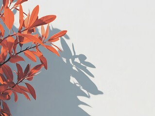 Vibrant Red Leaves Shadow on White Wall Minimalist Botanical Photography