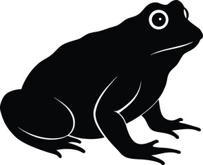 Cute cartoon green frog vector illustration on a white background