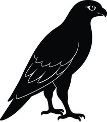 Black raven silhouette vector illustration: bird of prey eagle drawing on a white background