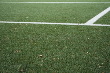 Fussball Rasen am Mittag an einem bew&ouml;lktem tag 