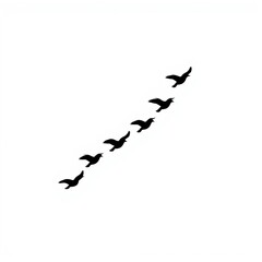 birds in flight