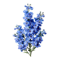 Fototapeta premium A detailed cutout of a vibrant, blue flower stem isolated against a stark black background