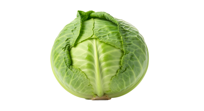 Vibrant fresh whole green cabbage head isolated on a clean white background, raw organic vegetable ingredient for healthy cooking, vegan diet, farm-to-table food, grocery, and culinary concepts, trans