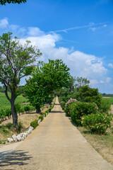 Farm in Herault (France)