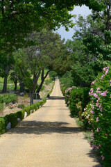 Farm in Herault (France)