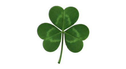 Isolated shamrock clover leaf, lucky symbol, nature greenery, happy Saint Patricks Day decor