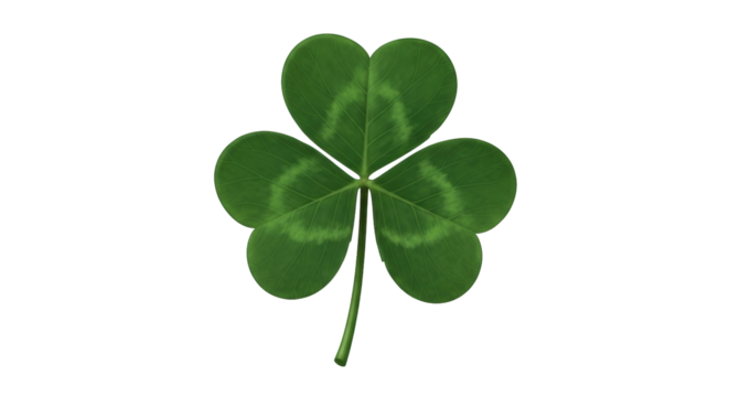 Isolated shamrock clover leaf, lucky symbol, nature greenery, happy Saint Patricks Day decor