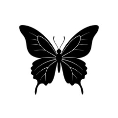 Silhouette of a butterfly with open wings on transparent background © Puspa