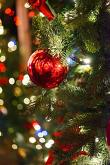 Close up of Christmas tree branch with shiny red baubles on bright blurred shining lights background, symbol of holiday, joy and New Year celebrations. Wallpaper, backdrop with copy space