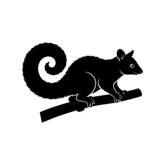 Squirrel Silhouette Perched on Branch: A sleek, black squirrel with a fluffy tail, in silhouette, perches on a slender branch.