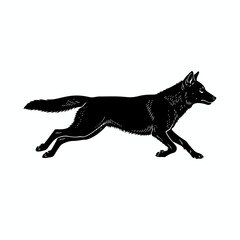 Silhouette Wolf in Motion: A striking silhouette of a wolf running with focused determination, representing freedom, wilderness, and raw power.