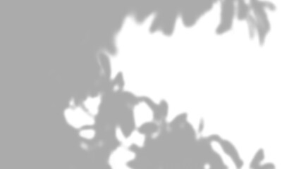 Realistic shadow overlay effect of a natural frame from tree leaves, dappled sunlight border, isolated png with transparent background