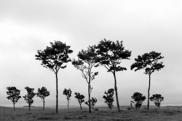 Fototapeta premium Farms and forests smoke in the morning