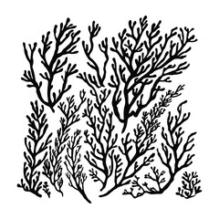 Vector silhouettes of starfish in various forms, black and white, simple line art style 41.eps