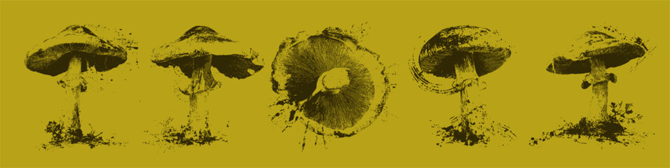 Grunge mushroom illustrations, rustic hand-drawn ink set of wild forest fungi, ideal for woodland, autumn, or organic design themes.