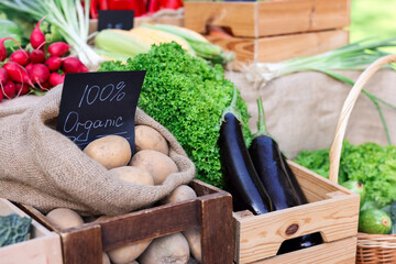 Many different vegetables on stall at farmer's market, closeup