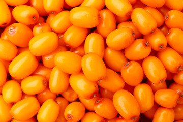 Fresh sea buckthorn berries as background, top view