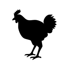 rooster vector illustration