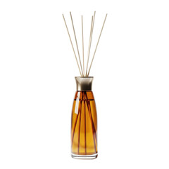Elegant Reed Diffuser with Fragrance Sticks in a Glass Bottle Isolated on Black Background
