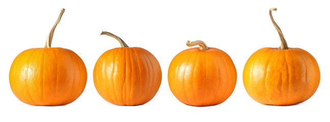 Fresh pumpkins isolated on white, set. Autumn vegetable