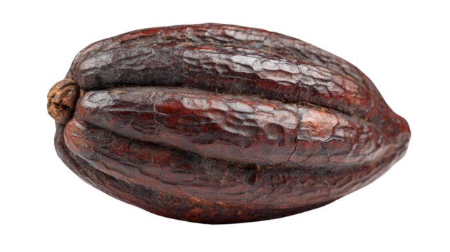 Cocoa bean background isolated on a Transparent background, PNG file.