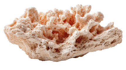 Coral sand fragment background isolated on a Transparent background, PNG file.