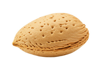 Single almond isolated on transparent background, close-up of a healthy and nutritious nut for snacks and vegetarian diets