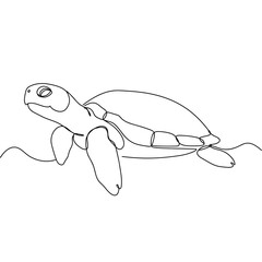 Outline of a turtle swimming in water in minimalist style  