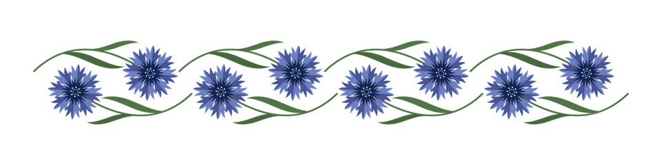 Floral border of blue cornflowers