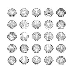 Vector silhouettes of starfish in various forms, black and white, simple line art style 10.eps