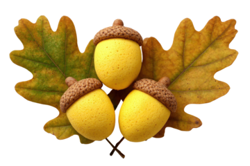 Composition of three bright acorns with brown caps and two vibrant oak leaves
