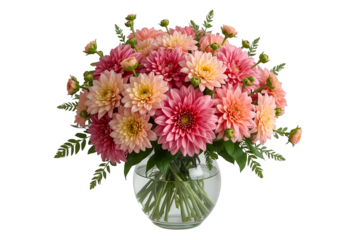 Pink and peach dahlia flowers in a round glass vase isolated on a transparent background