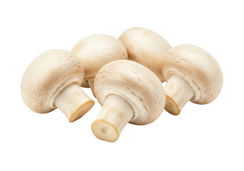 Isolated group of fresh cultivated mushrooms, food photography of edible fungi variety