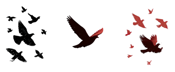 Three panels feature red silhouetted bird shapes against a black background, with subtle light effects