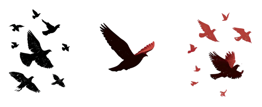Three panels feature red silhouetted bird shapes against a black background, with subtle light effects